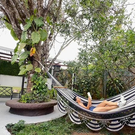 Montefresco Boutique Hostel Monteverde Luaran gambar